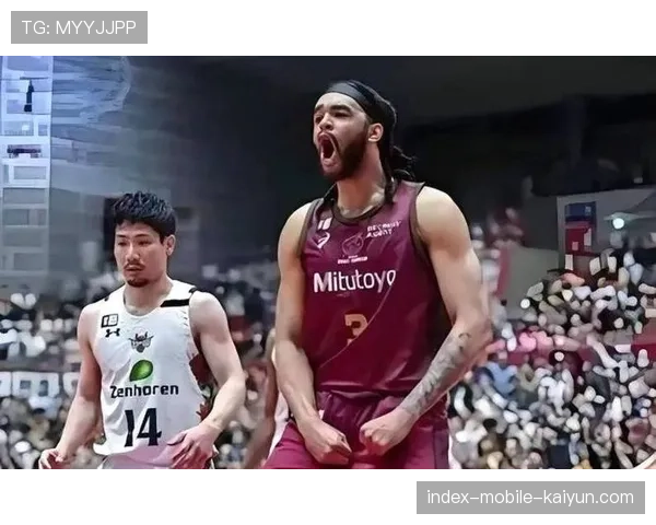 世界篮球联赛外援适配期与成绩波动研究，篮球队外援是什么意思